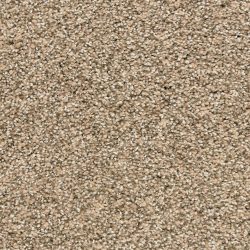 Dixie Home Carpet Rochelle D013 35114