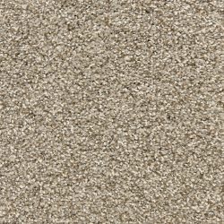 Dixie Home Carpet Rochelle D013 77118