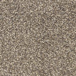 Dixie Home Carpet Rochelle D013 79119