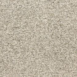 Dixie Home Carpet Rochelle D013 82117