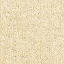 Dixie Home Carpet Teton D017 21111