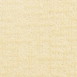 Dixie Home Carpet Teton D017 21137