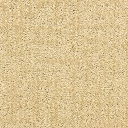 Dixie Home Carpet Teton D017 21159