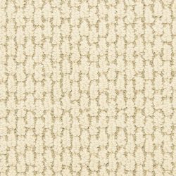 Dixie Home Carpet Capella D018 17203