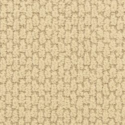 Dixie Home Carpet Capella D018 23201
