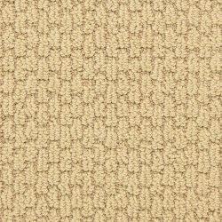 Dixie Home Carpet Capella D018 23202
