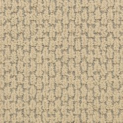Dixie Home Carpet Capella D018 37205