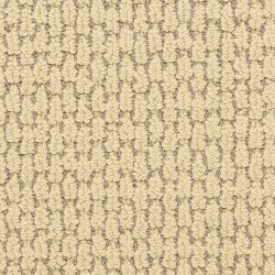 Dixie Home Carpet Capella D018 38204