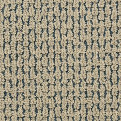 Dixie Home Carpet Capella D018 76211