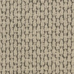 Dixie Home Carpet Capella D018 87208