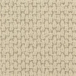 Dixie Home Carpet Capella D018 88207