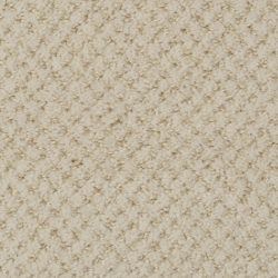 Dixie Home Carpet Brant Point G5228 8515