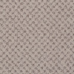 Dixie Home Carpet Brant Point G5228 18503