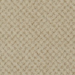 Dixie Home Carpet Brant Point G5228 18511