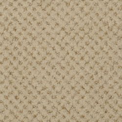 Dixie Home Carpet Brant Point G5228 18514