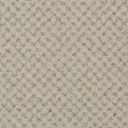Dixie Home Carpet Brant Point G5228 18519