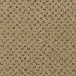 Dixie Home Carpet Brant Point G5228 28513