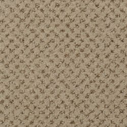 Dixie Home Carpet Brant Point G5228 38517