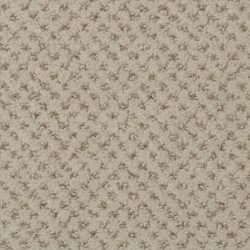 Dixie Home Carpet Brant Point G5228 38518
