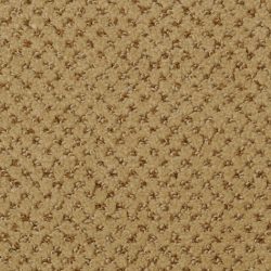 Dixie Home Carpet Brant Point G5228 48504