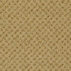 Dixie Home Carpet Brant Point G5228 48505