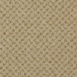Dixie Home Carpet Brant Point G5228 48506