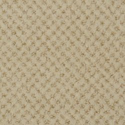 Dixie Home Carpet Brant Point G5228 48507
