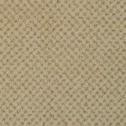Dixie Home Carpet Brant Point G5228 48510