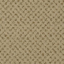 Dixie Home Carpet Brant Point G5228 58509