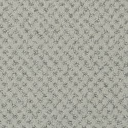 Dixie Home Carpet Brant Point G5228 58527