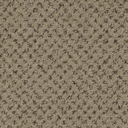 Dixie Home Carpet Brant Point G5228 88516