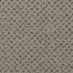 Dixie Home Carpet Brant Point G5228 88521