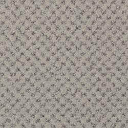 Dixie Home Carpet Brant Point G5228 88522