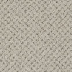 Dixie Home Carpet Brant Point G5228 88523
