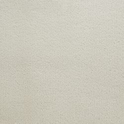 Dixie Home Carpet Penley Estates G5132 14100