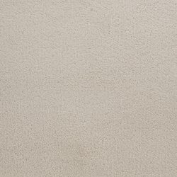 Dixie Home Carpet Penley Estates G5132 14124