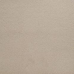 Dixie Home Carpet Penley Estates G5132 24101