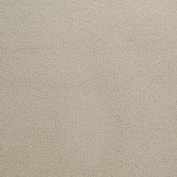 Dixie Home Carpet Penley Estates G5132 24107