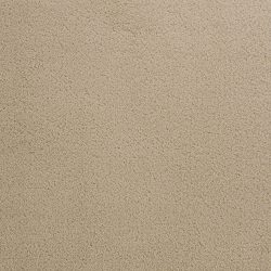 Dixie Home Carpet Penley Estates G5132 24109
