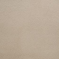 Dixie Home Carpet Penley Estates G5132 24117