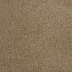 Dixie Home Carpet Penley Estates G5132 24123