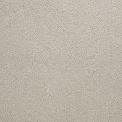 Dixie Home Carpet Penley Estates G5132 24129
