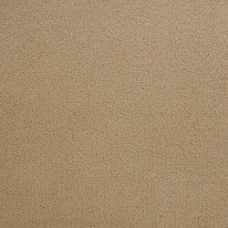 Dixie Home Carpet Penley Estates G5132 24137
