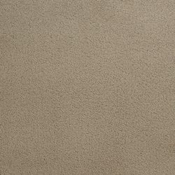 Dixie Home Carpet Penley Estates G5132 34108