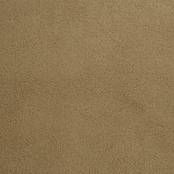 Dixie Home Carpet Penley Estates G5132 34118