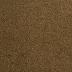 Dixie Home Carpet Penley Estates G5132 44110