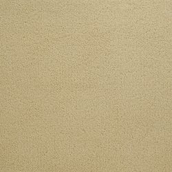 Dixie Home Carpet Penley Estates G5132 44132