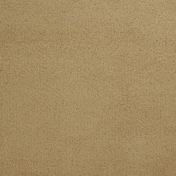 Dixie Home Carpet Penley Estates G5132 44139