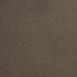 Dixie Home Carpet Penley Estates G5132 74115