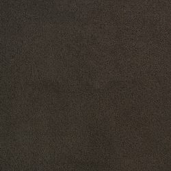 Dixie Home Carpet Penley Estates G5132 74122